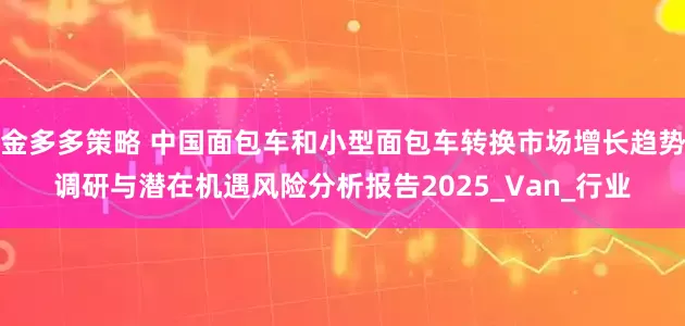 金多多策略 中国面包车和小型面包车转换市场增长趋势调研与潜在机遇风险分析报告2025_Van_行业