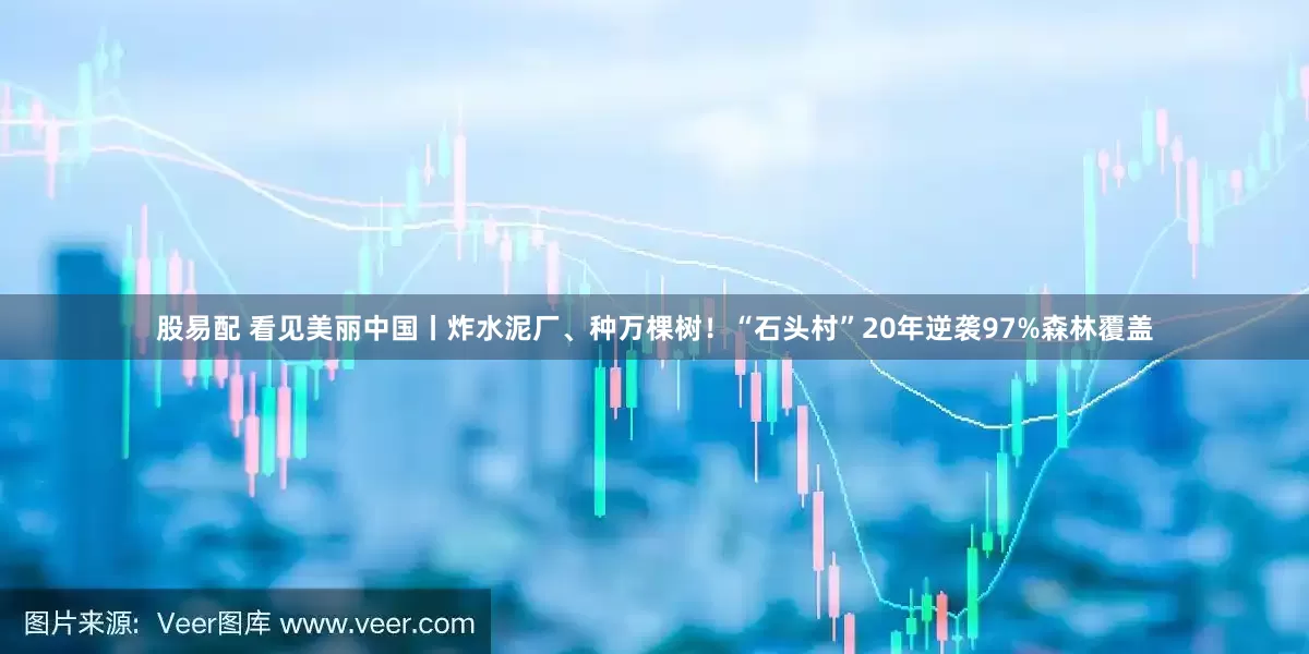 股易配 看见美丽中国丨炸水泥厂、种万棵树！“石头村”20年逆袭97%森林覆盖