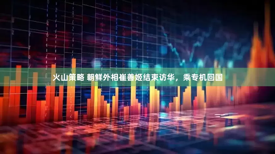火山策略 朝鲜外相崔善姬结束访华，乘专机回国